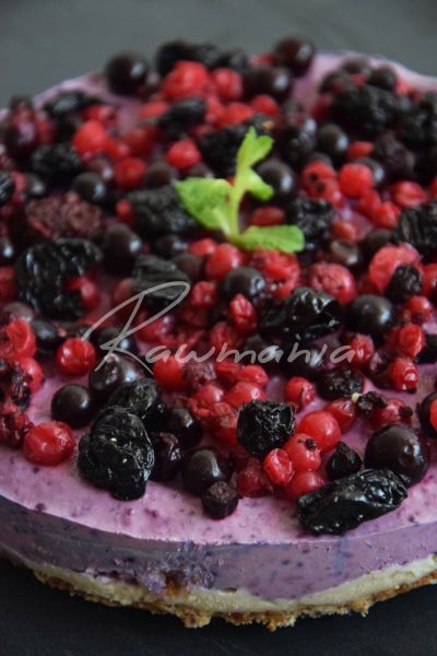 cheescake z lesnich plodu1