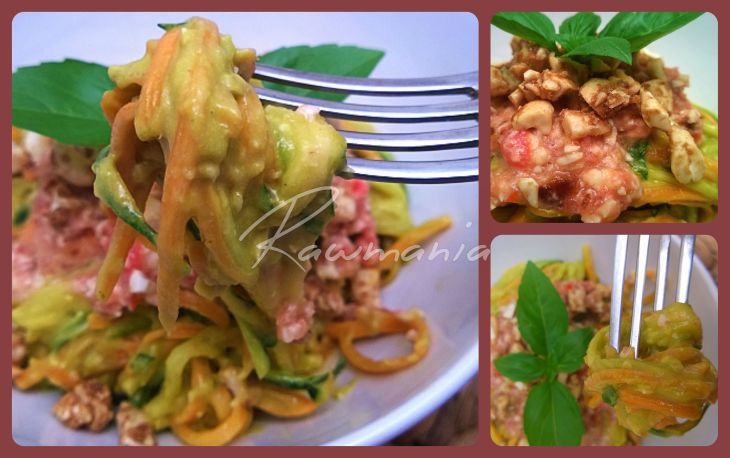 bolognese clanek