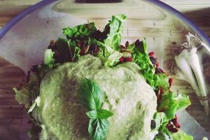Sal&aacute;tek s avok&aacute;dov&yacute;m dipem