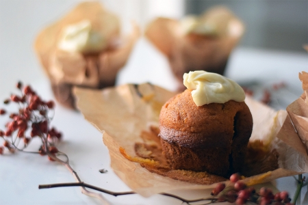 Dokonal&eacute; d&yacute;ňov&eacute; muffiny